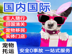通化三源浦机场邮寄国际宠物托运 【国